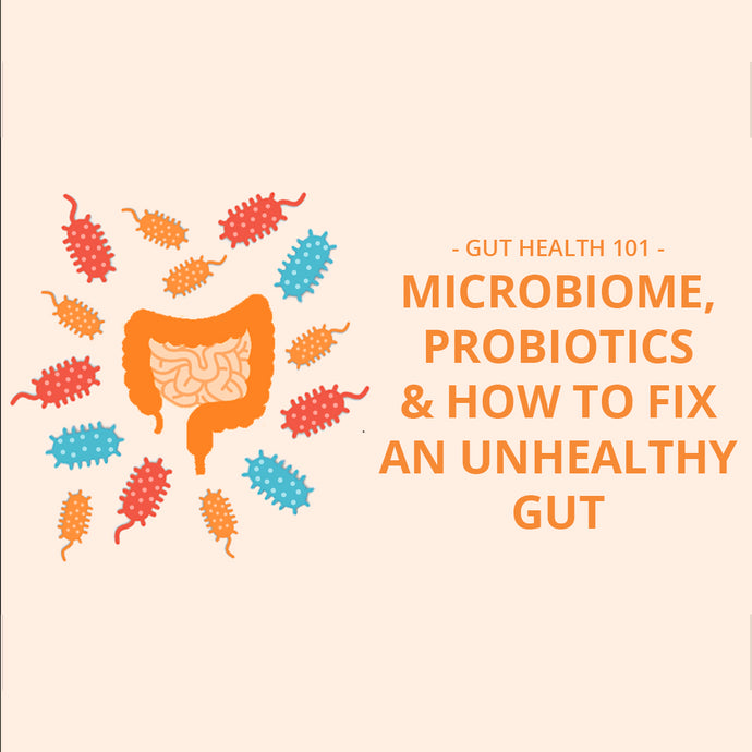 Gut Health 101: Microbiome, Probiotics & How to Fix an Unhealthy Gut
