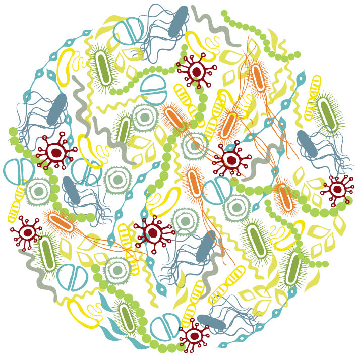 Microbiome 101