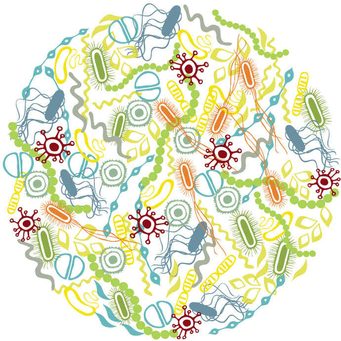 Microbiome 101