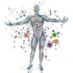 The Layout Of The Human Microbiota