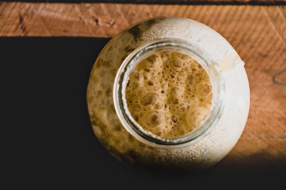3 Common Yeast Species We Share A History With