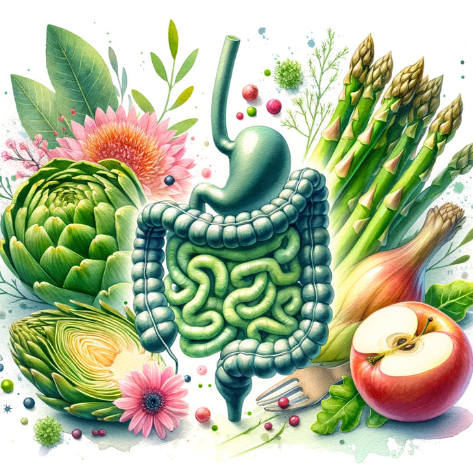 Understanding the Gut Microbiome: Your Key to Metabolic Health