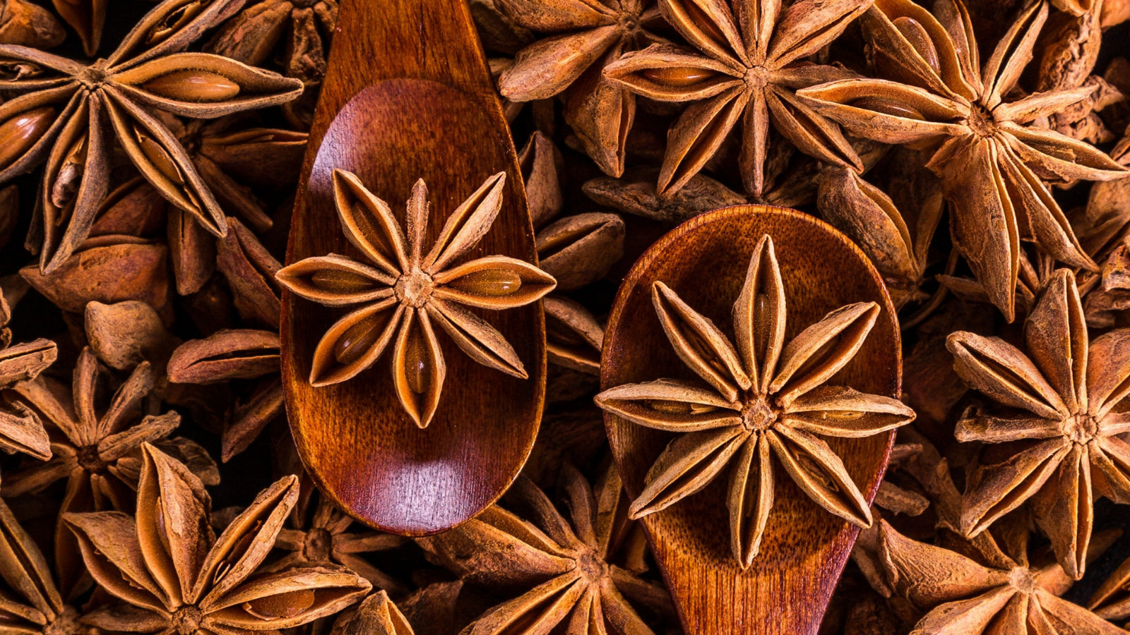 Star Anise Benefits: How Can You Use This Asian Cuisine Staple