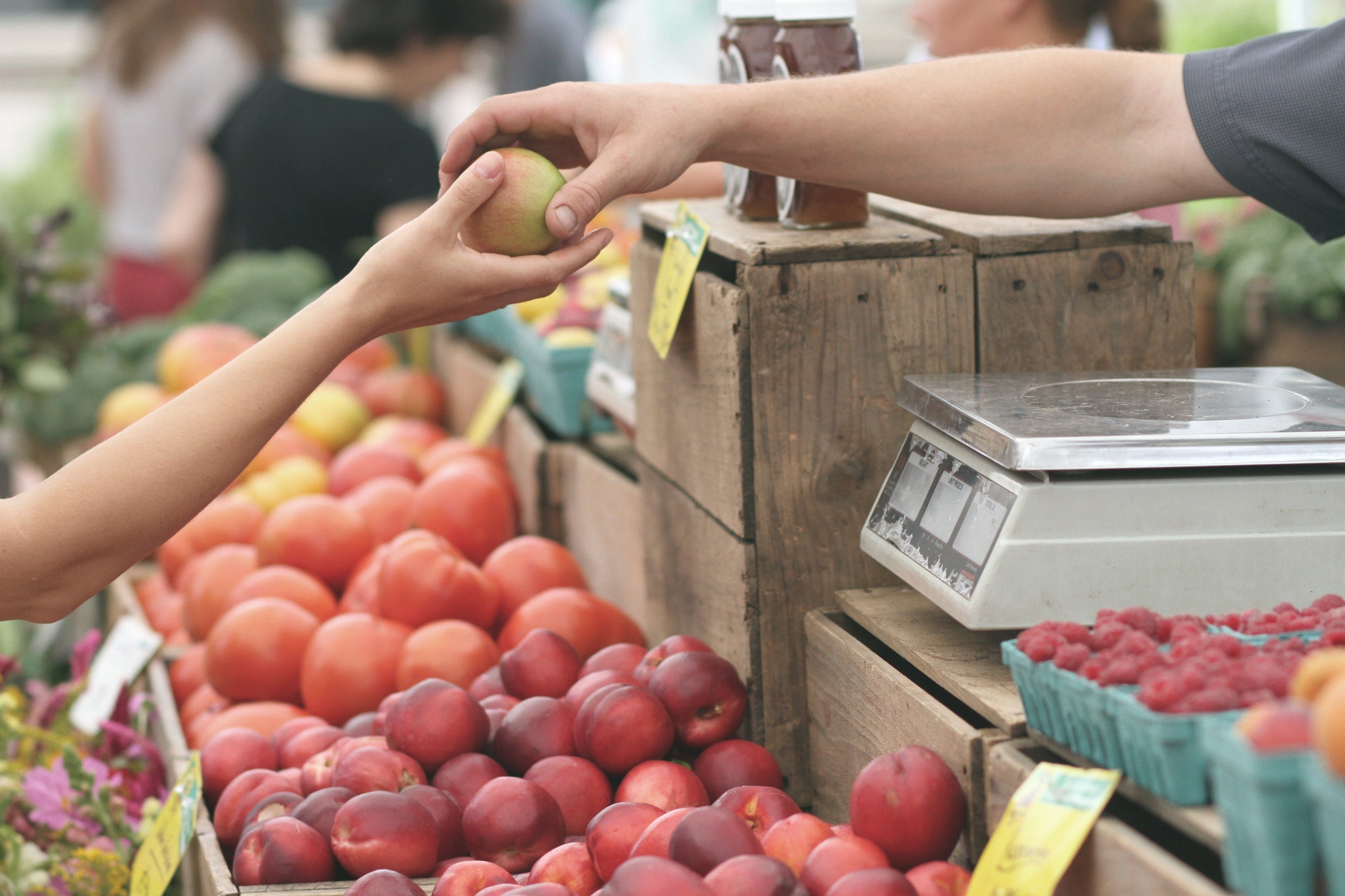 Clean Eating Food Swaps for a Gut Healing Diet Plan