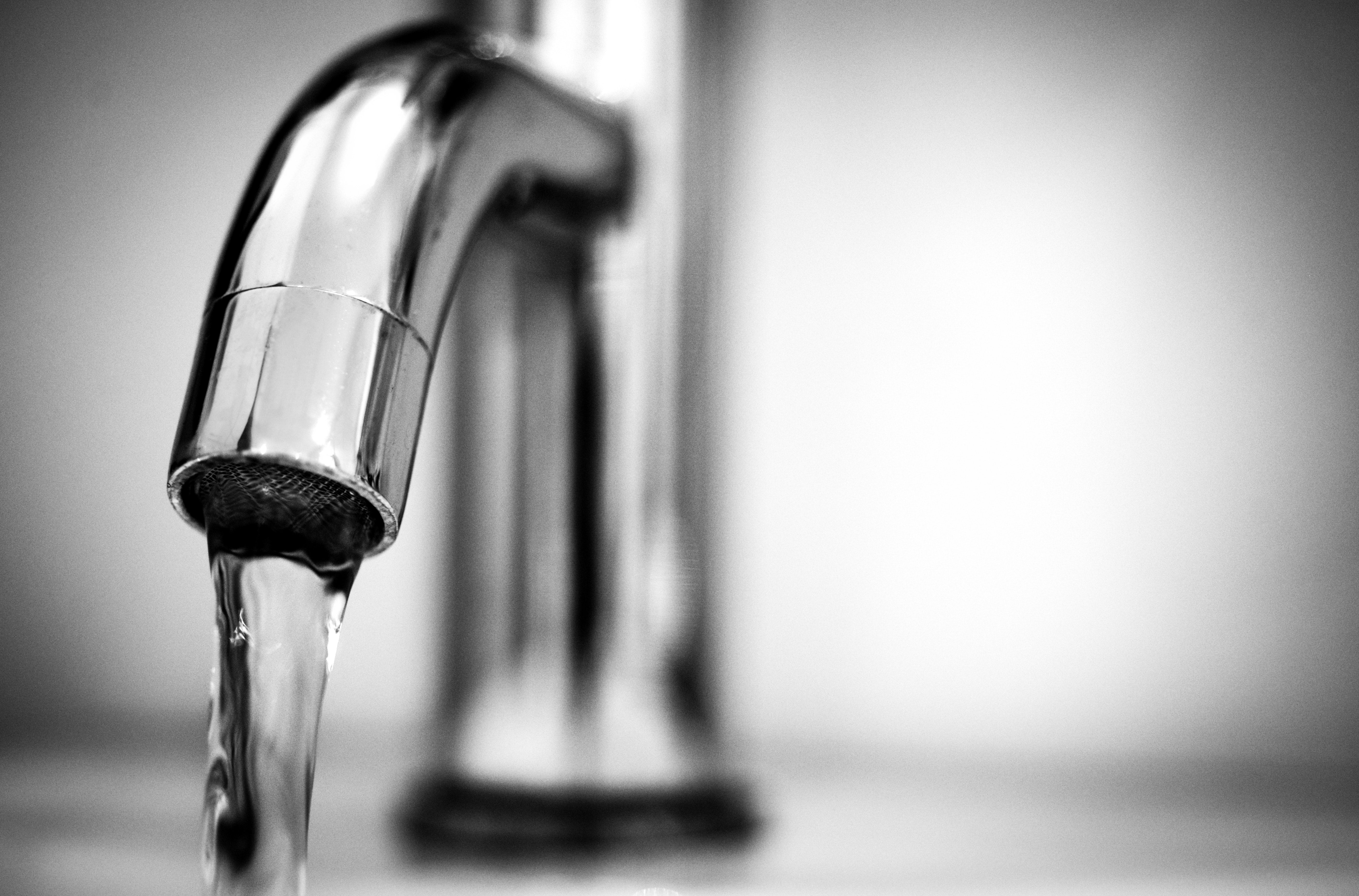 Leaky Gut Checklist: What Causes a Leaky Gut?