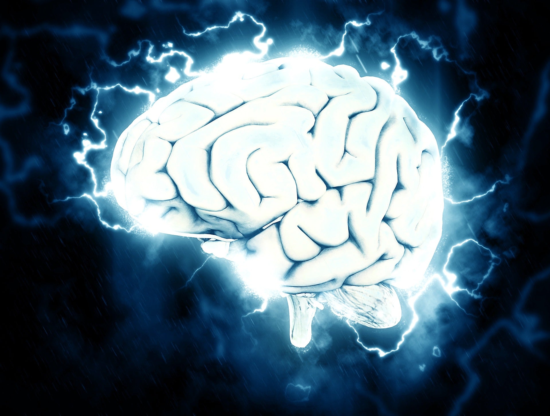 The Role of Gut Bacteria in Strokes and Seizures