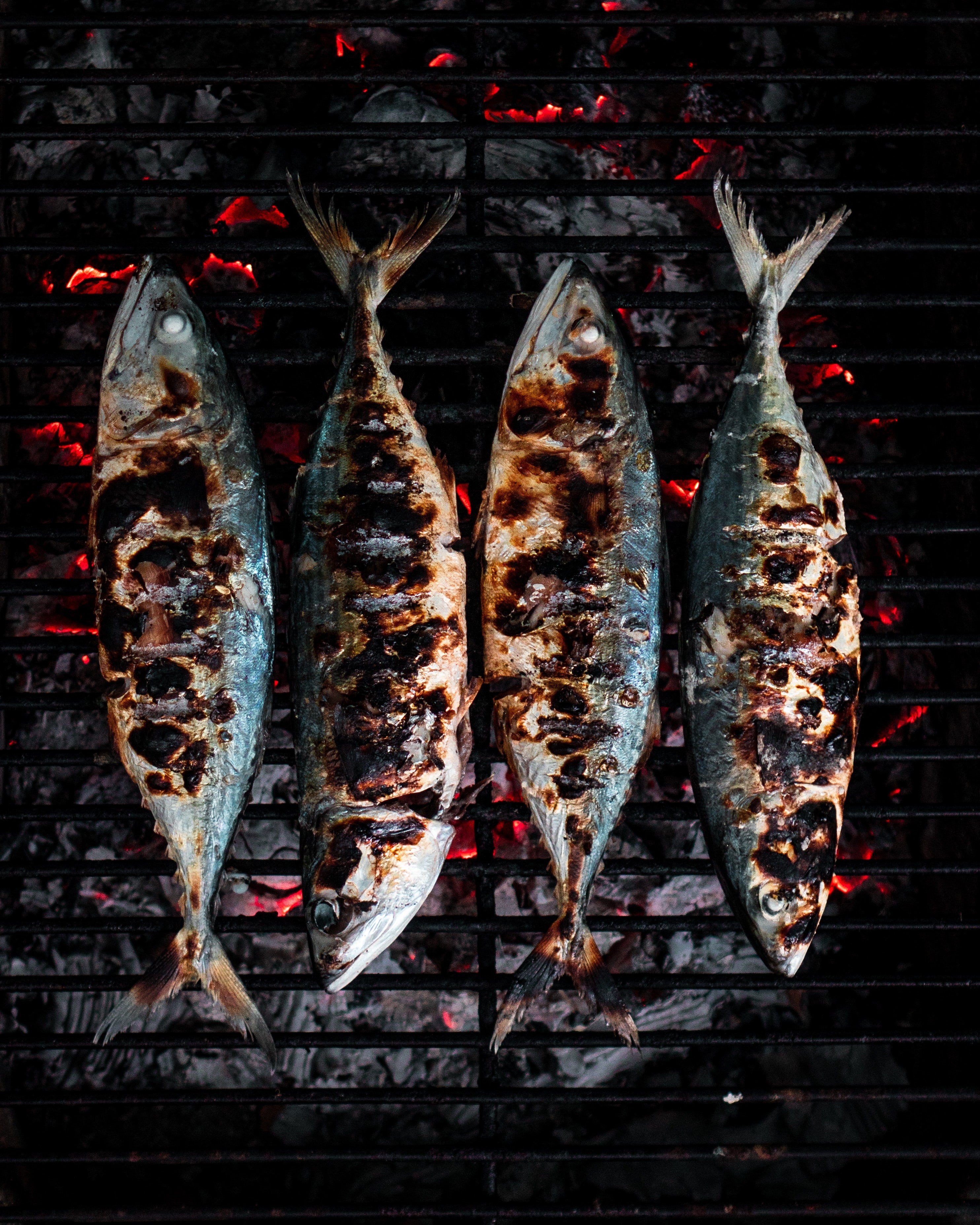 Foods For Repairing Gut Lining: Items to Stock Up On!