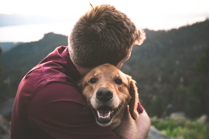 Pet Gut Health Tips That Improve Your Gut, Too!