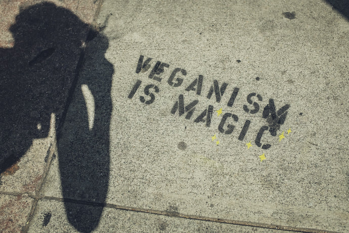 Going Vegan for Gut Health: Why Some People Are Going Plant-Based