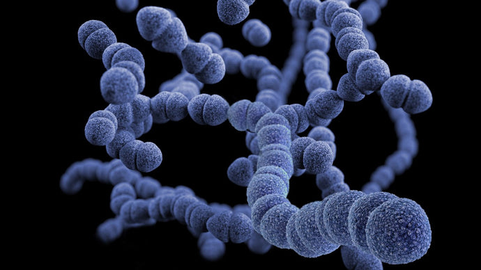 What Is the Human Microbiome?