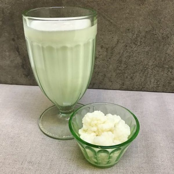 Got Kefir?