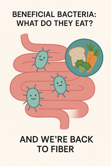 Gentle Fibers = Stronger Gut