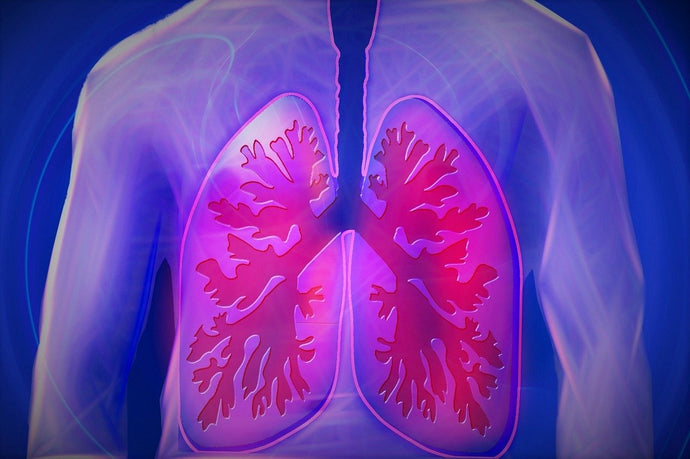 Lung Health Tips to Improve Respiratory System